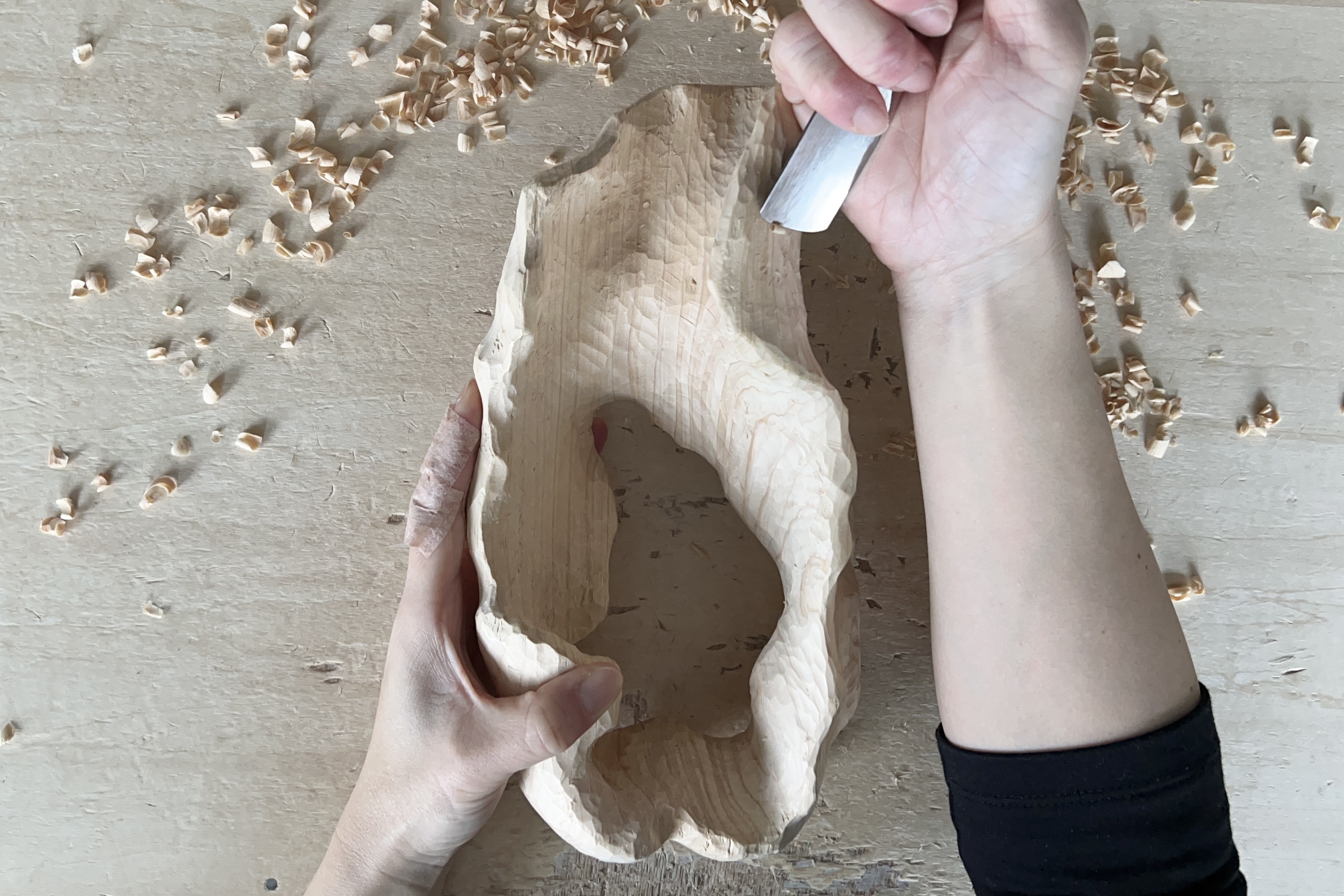 One of my goals is for the butterfly to molt