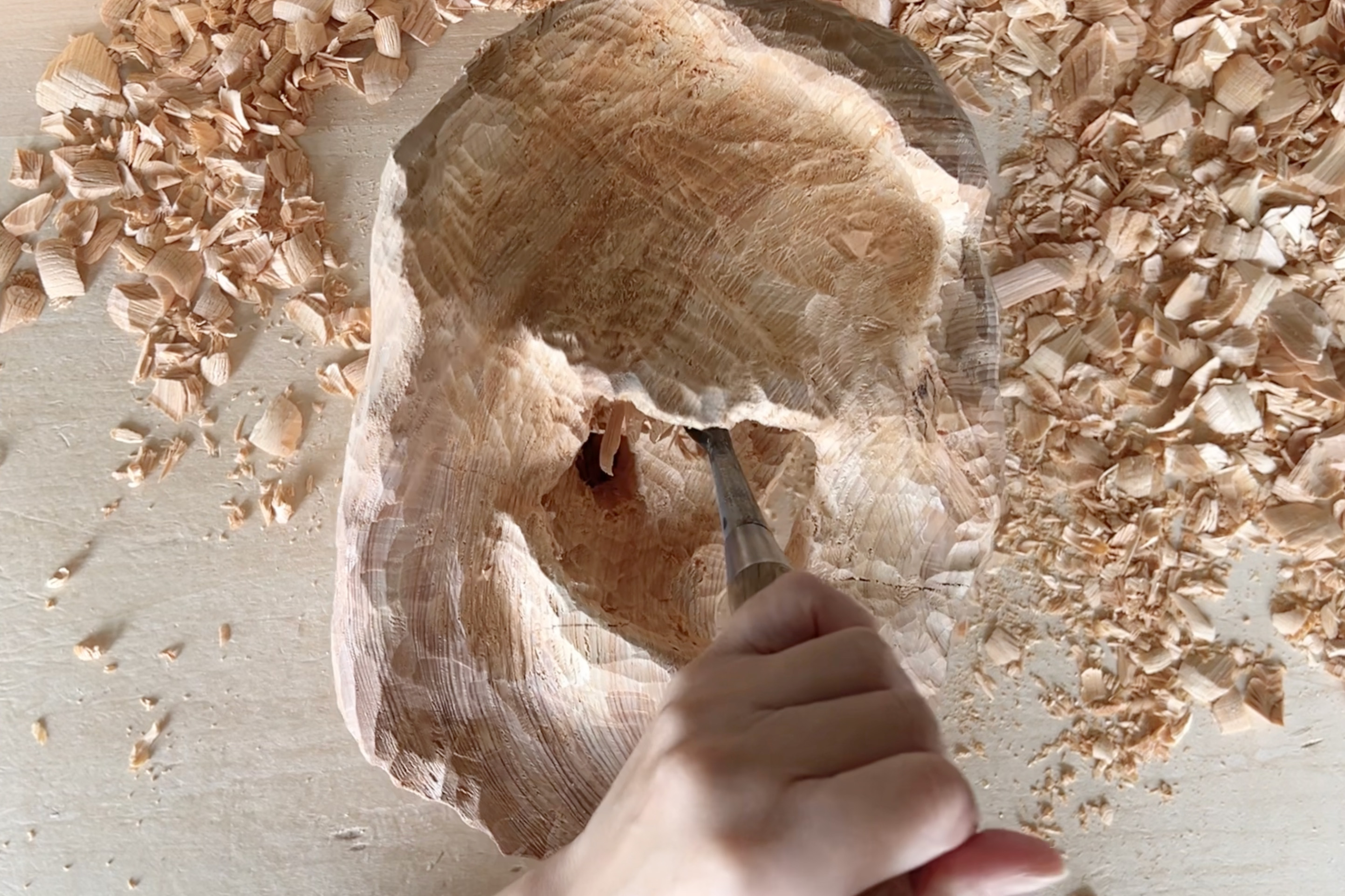 Fascination of wanting to peer into the space