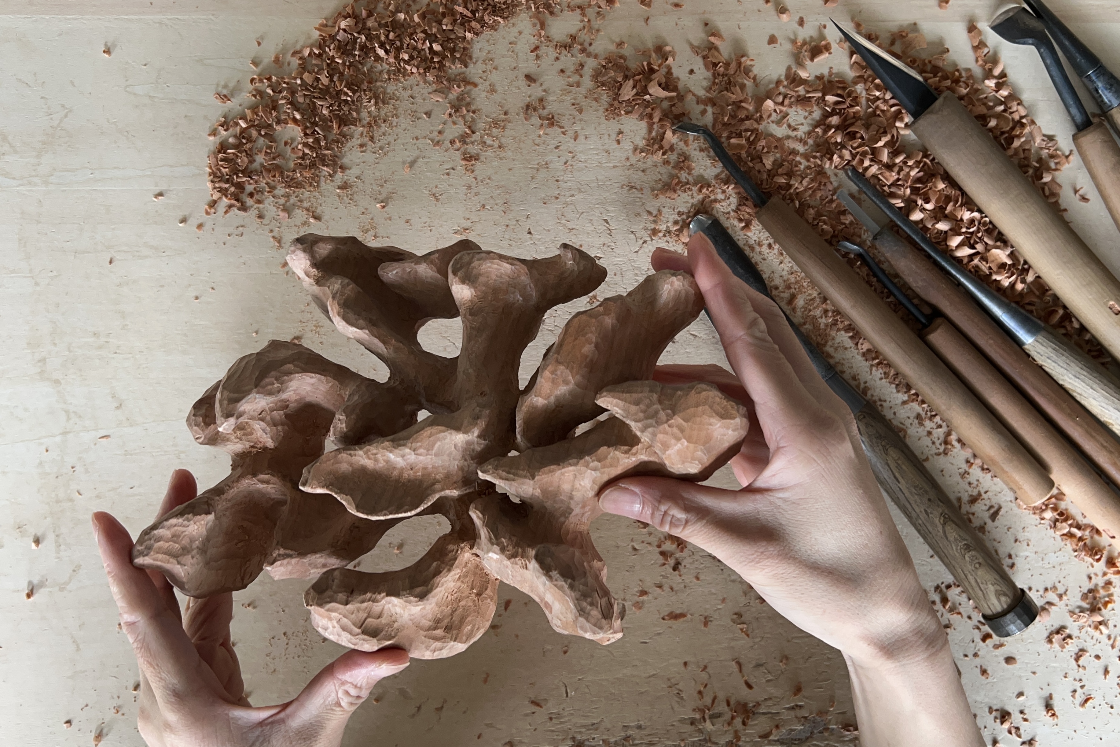 Wild cherry wood changes from light to dark