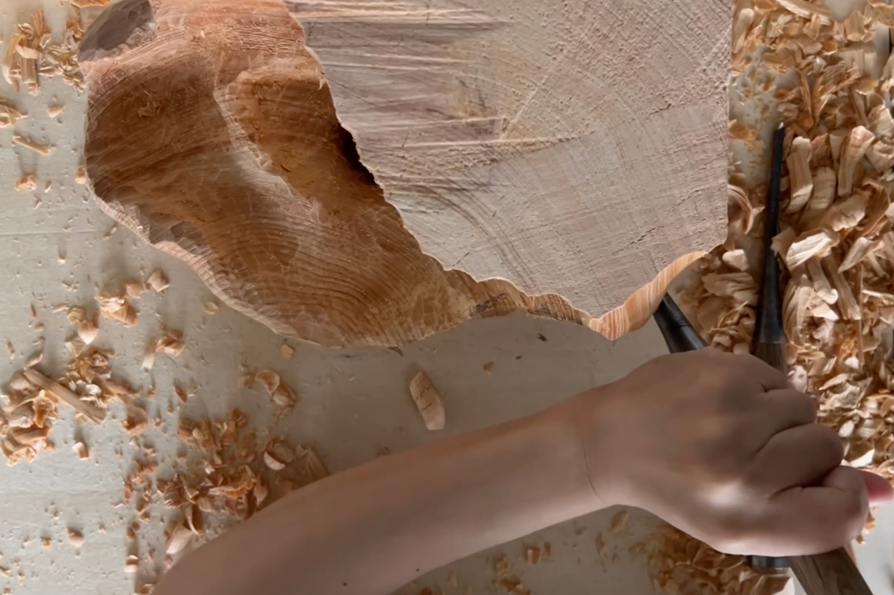 Undulating grain of the wood dances