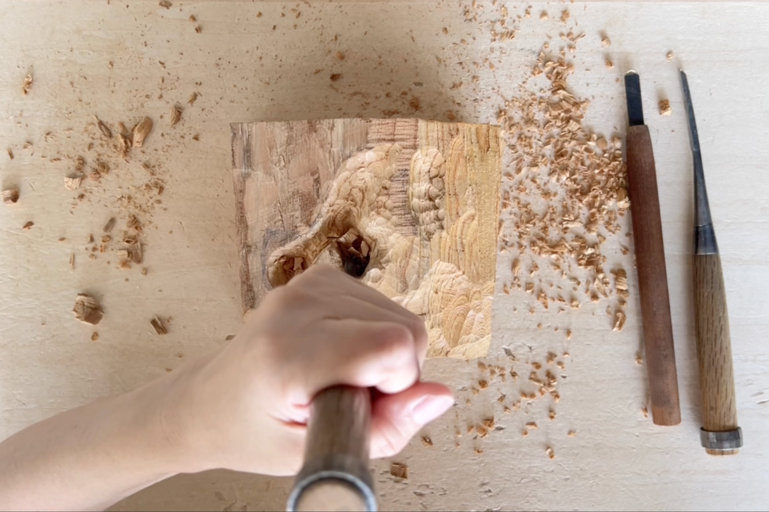 Zelkova wood with its unique texture and grain