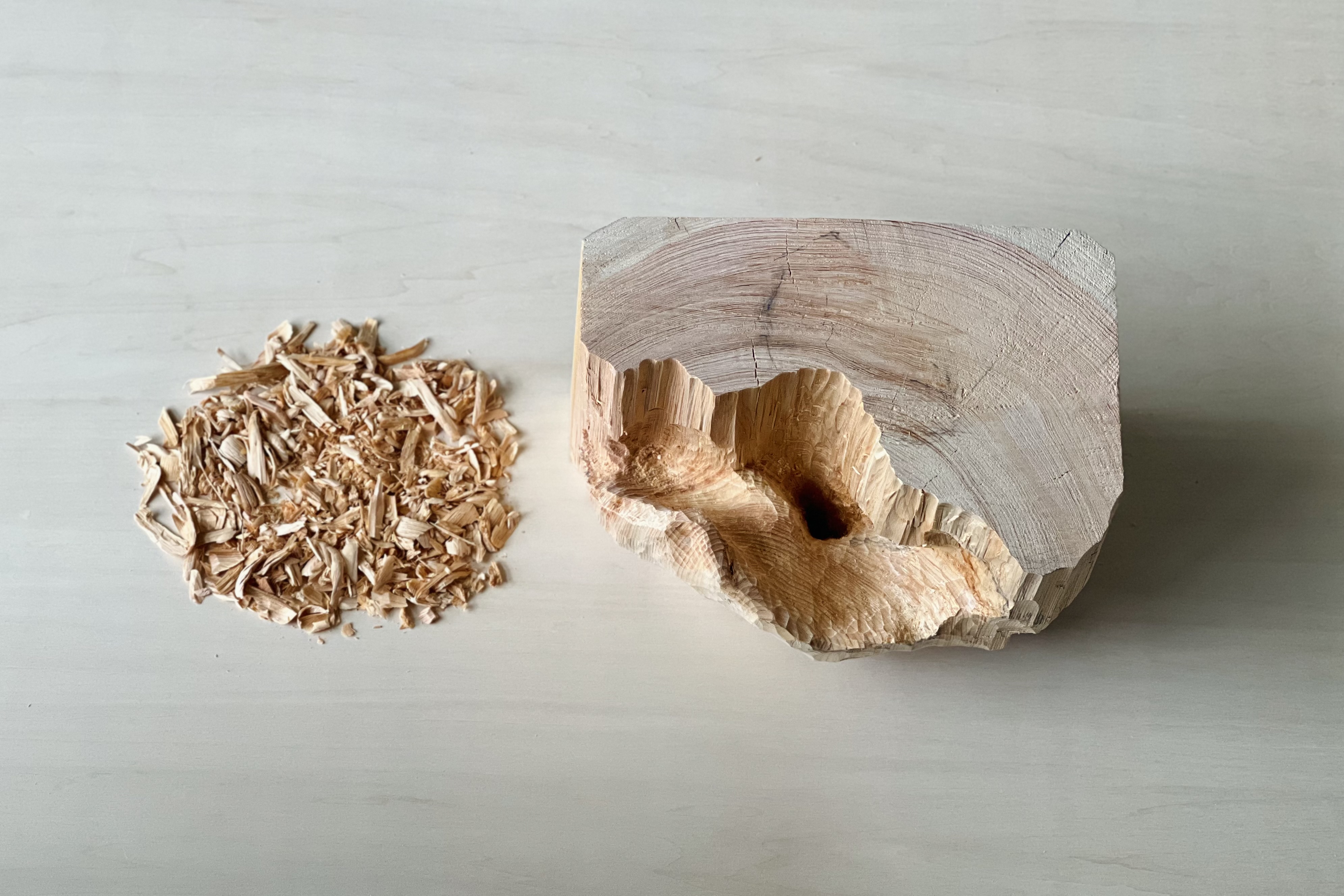 Hinoki (Japanese cypress) with its rich color