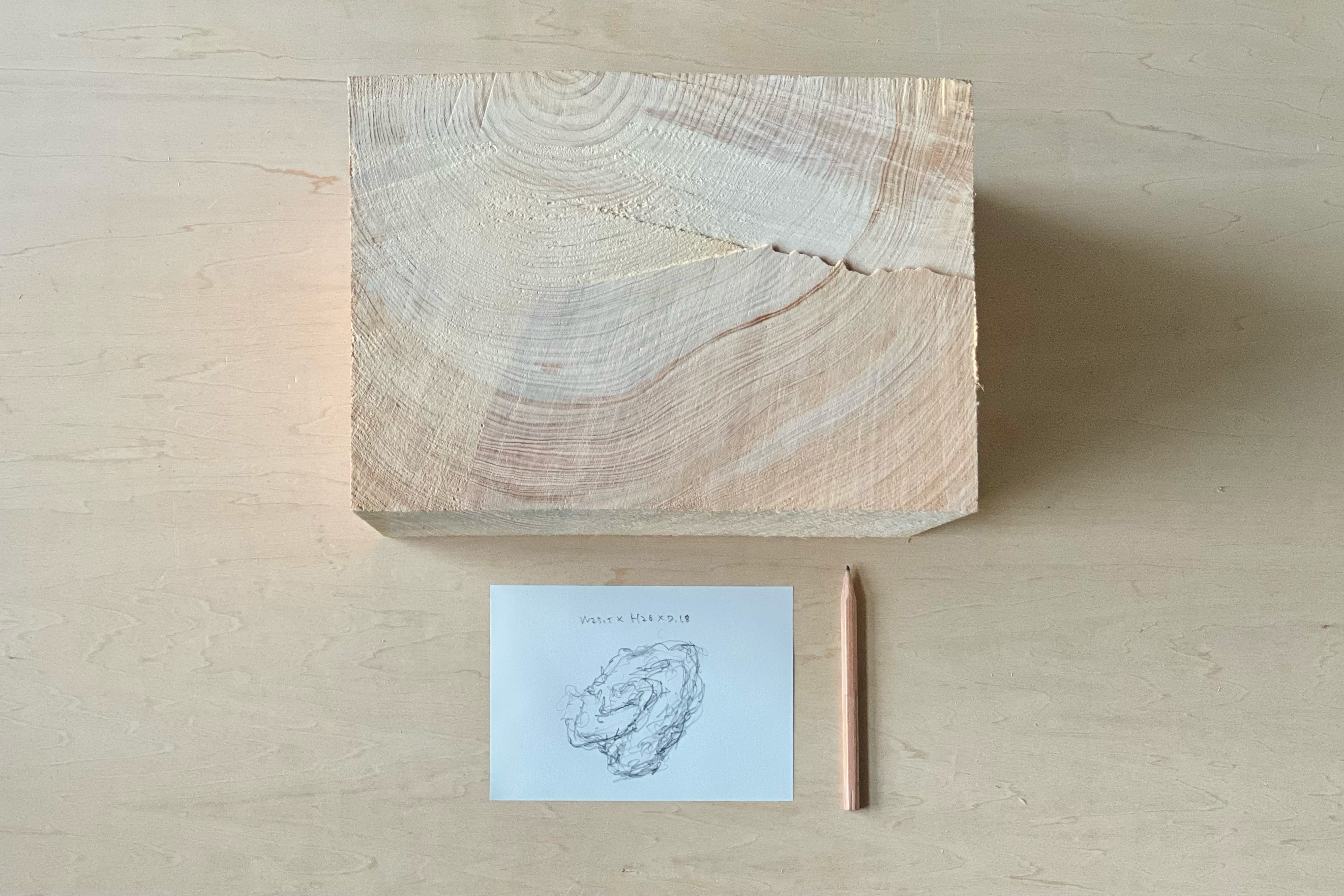 Majestic and graceful tree with a deep scar