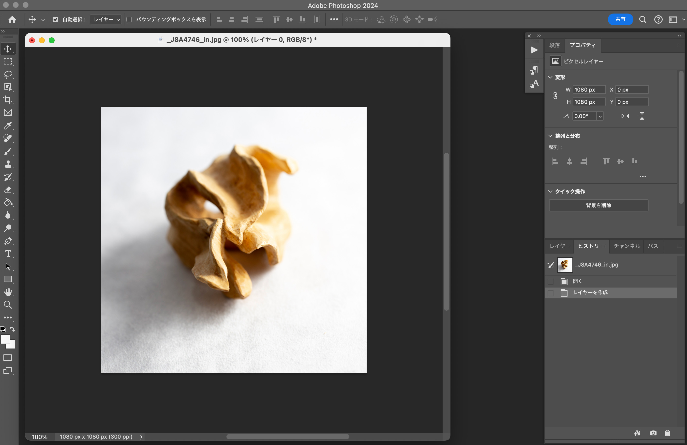 Website renewal work is in progress.