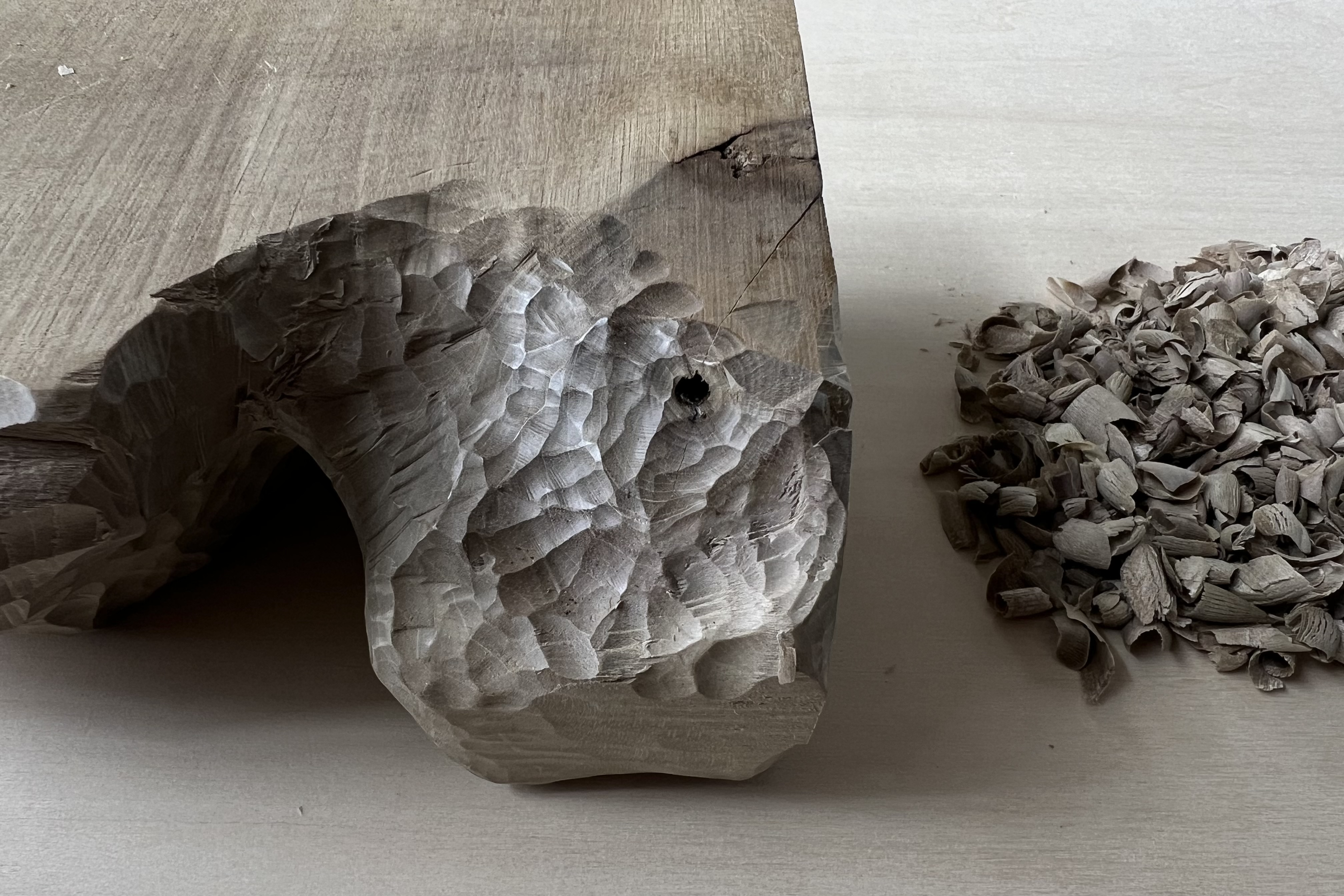 Interesting concentric grain of wood