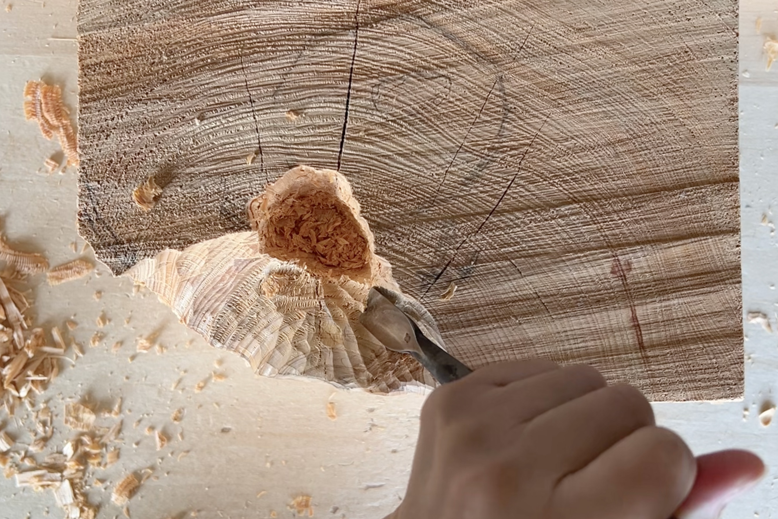 Biggest concerns: cracks and knots