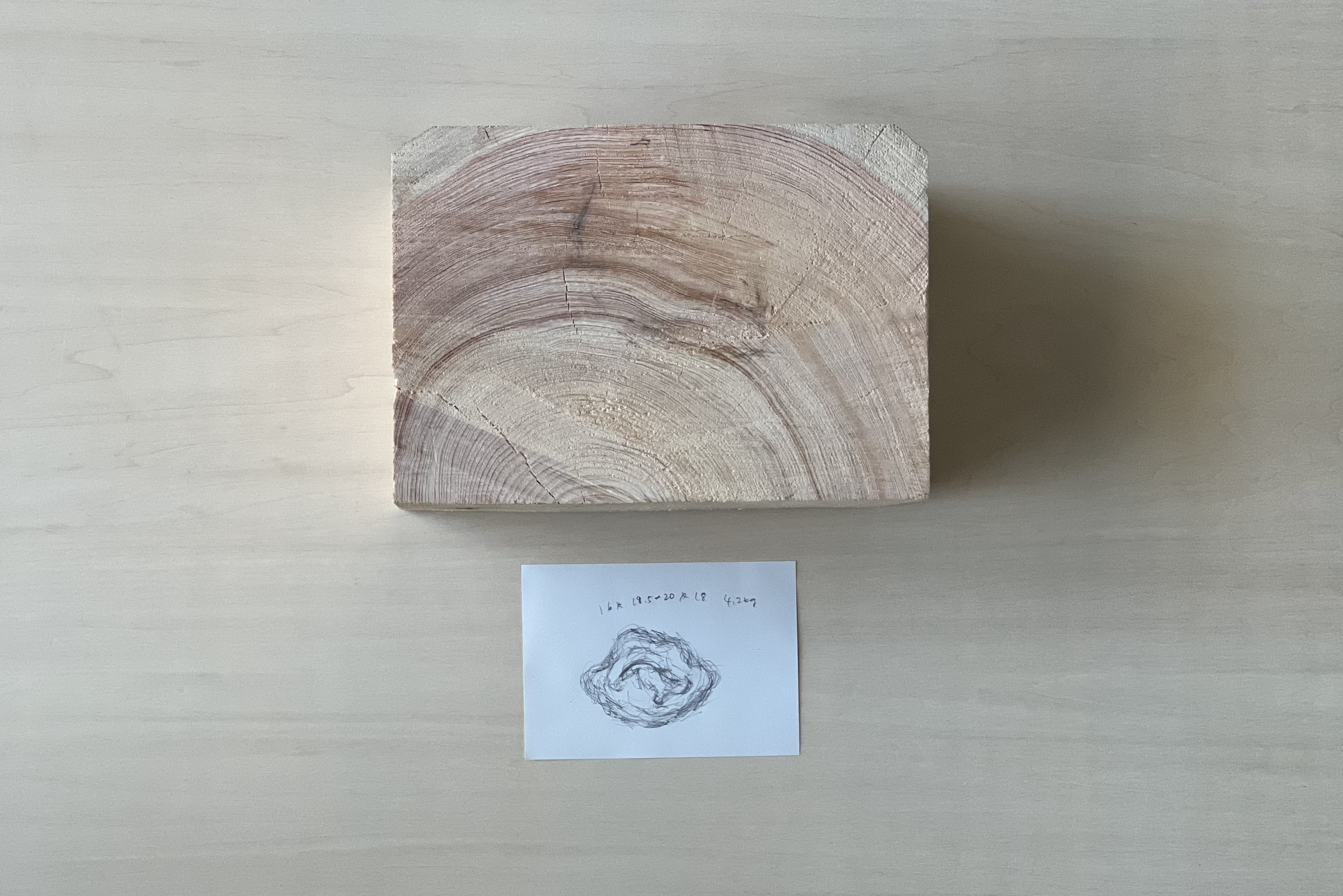 Represent the hollow in the trunk of a giant tree