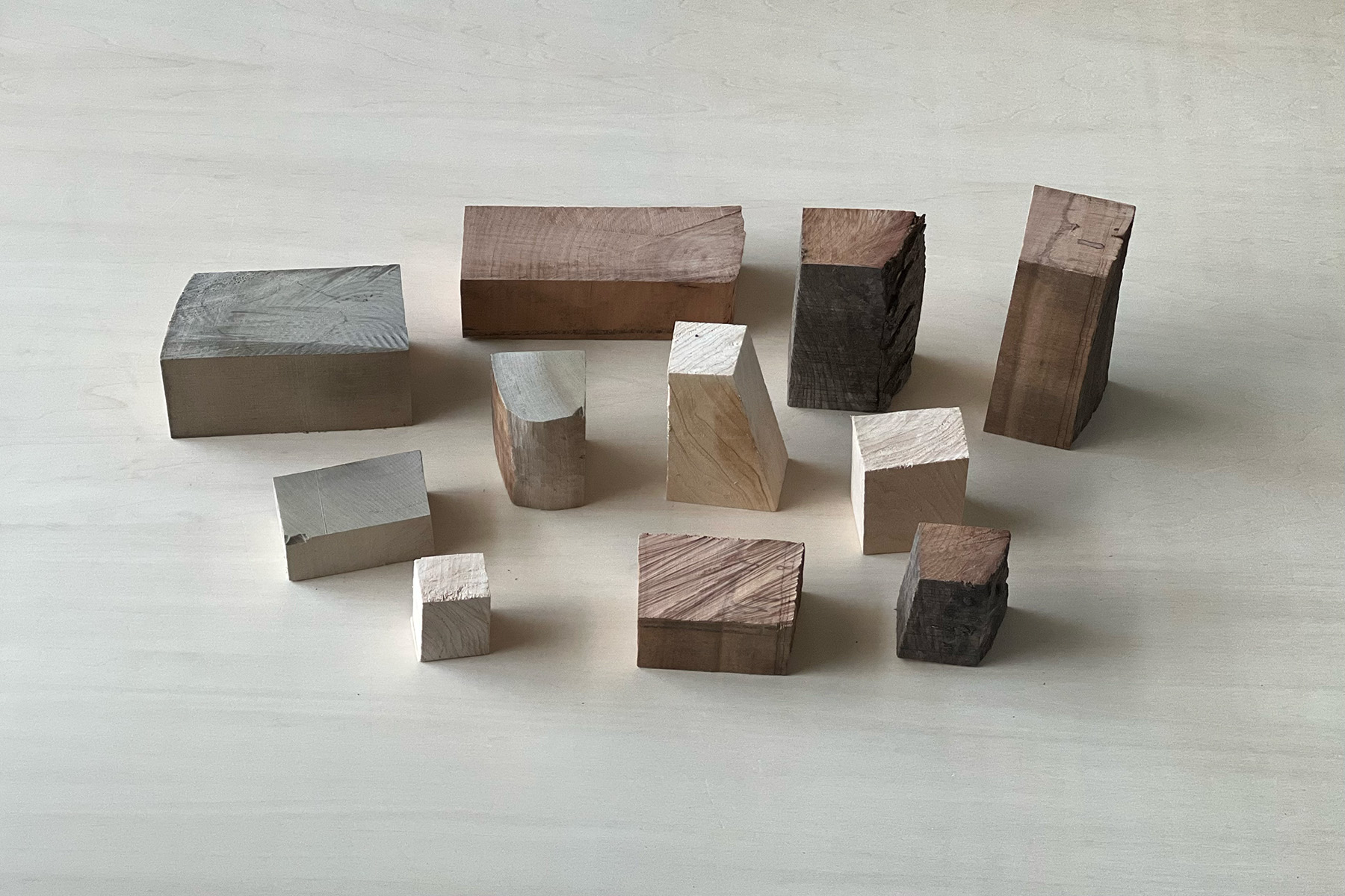 Small pieces of wood from each tree species
