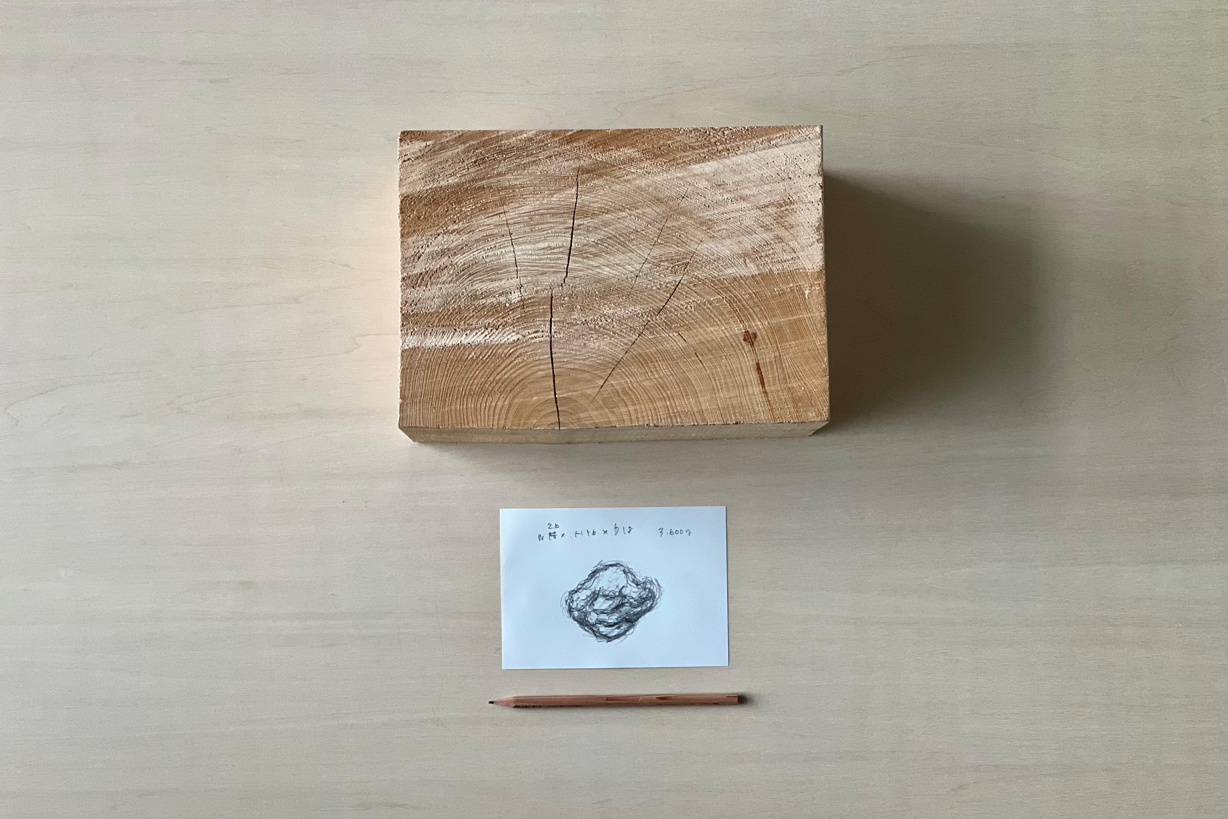 Giant tree with a large, ring-shaped crown