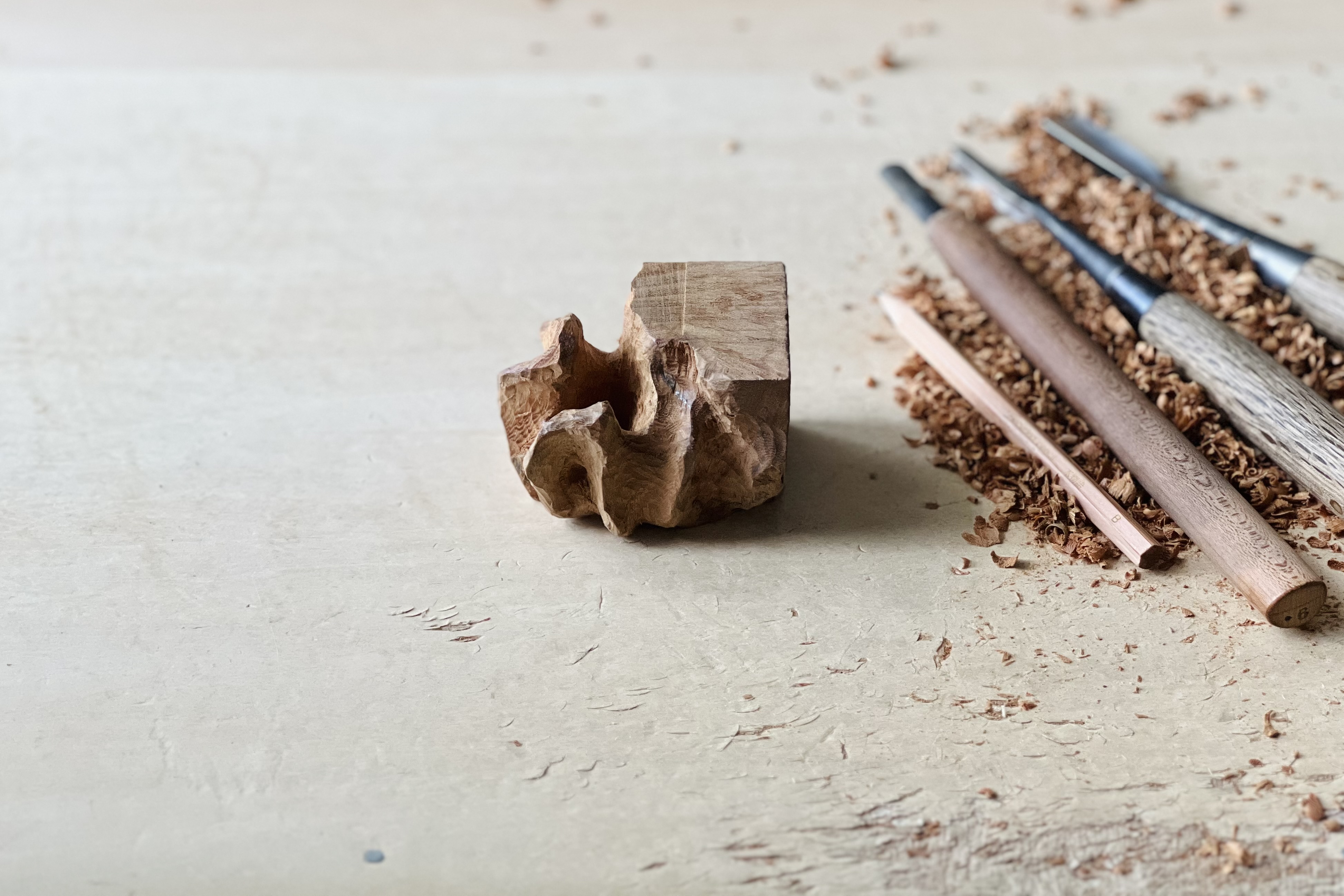 Only a limited space inside a small piece of wood