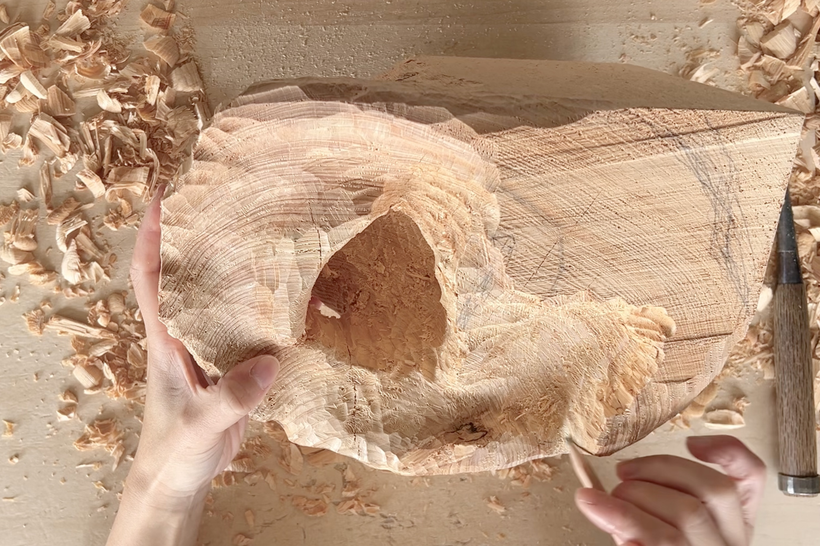 What kind of undulations and curves