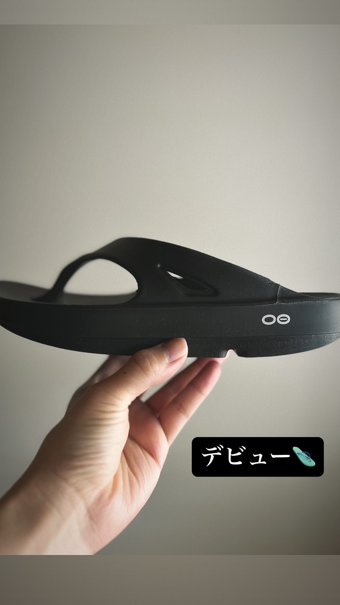 昨日のお買い物録