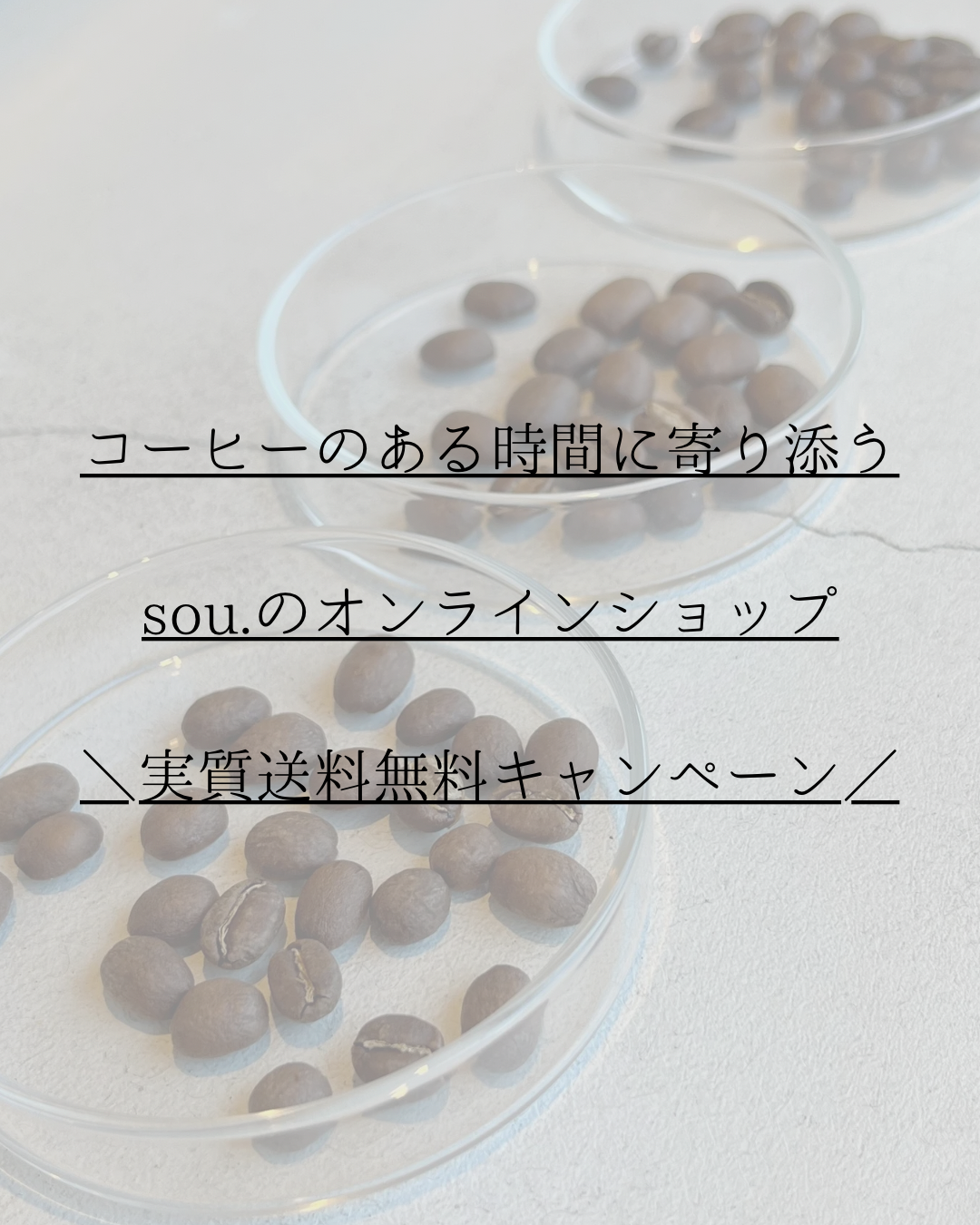 ＼実質送料無料キャンペーン／
