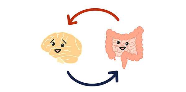 脳腸相関について