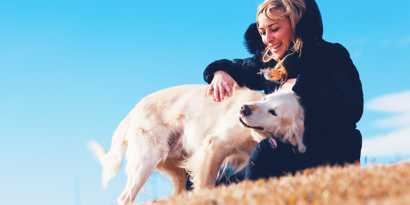 愛犬の脳活・脳トレ方法