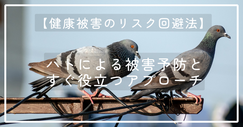【お知らせ】【健康被害のリスク回避法】ハトによる被害予防とすぐ役立つアプローチ note記事投稿情報