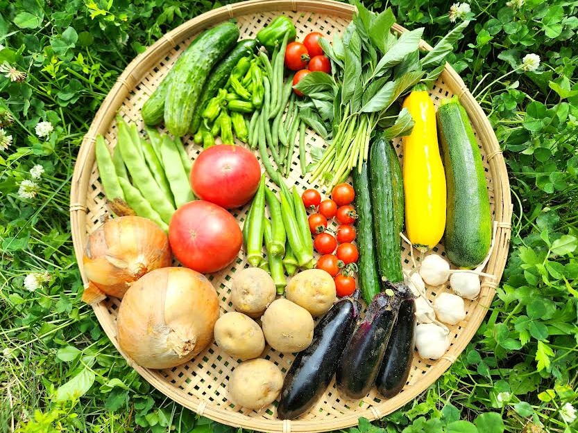 🌞夏野菜セット販売スタート!🍅