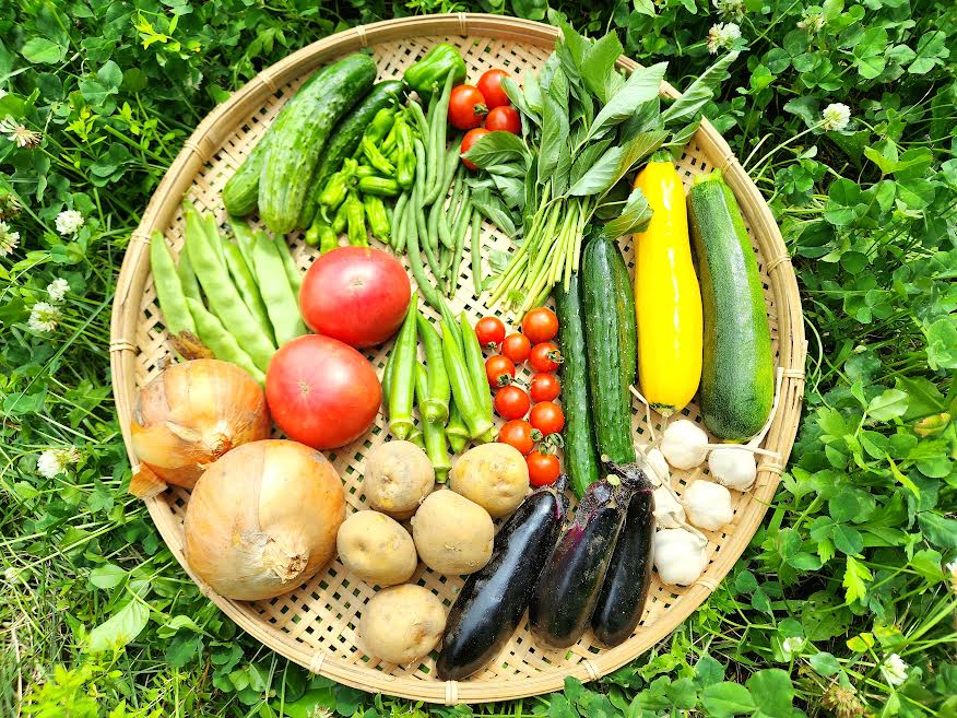 夏野菜セット販売中です！