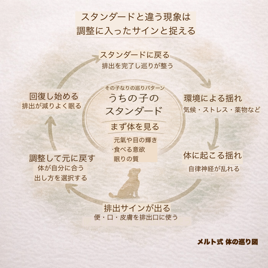 うちの子の「巡りパターン」を知ろう