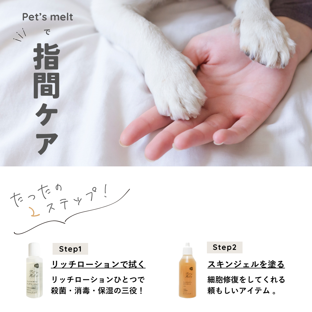 10月のおすすめアイテムのご紹介 ˎˊ˗