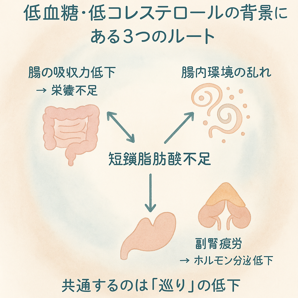 コレステロールと血糖値が低すぎる〜その背景にある「内側の声」〜