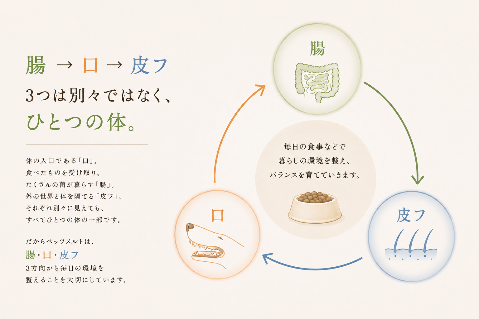 メルトの選びかたとケアマップ