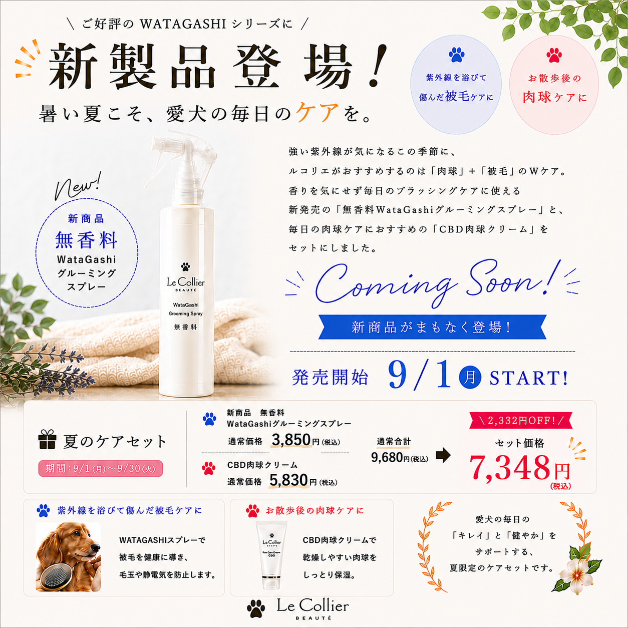 ご好評のWATAGASHIシリーズに新製品登場