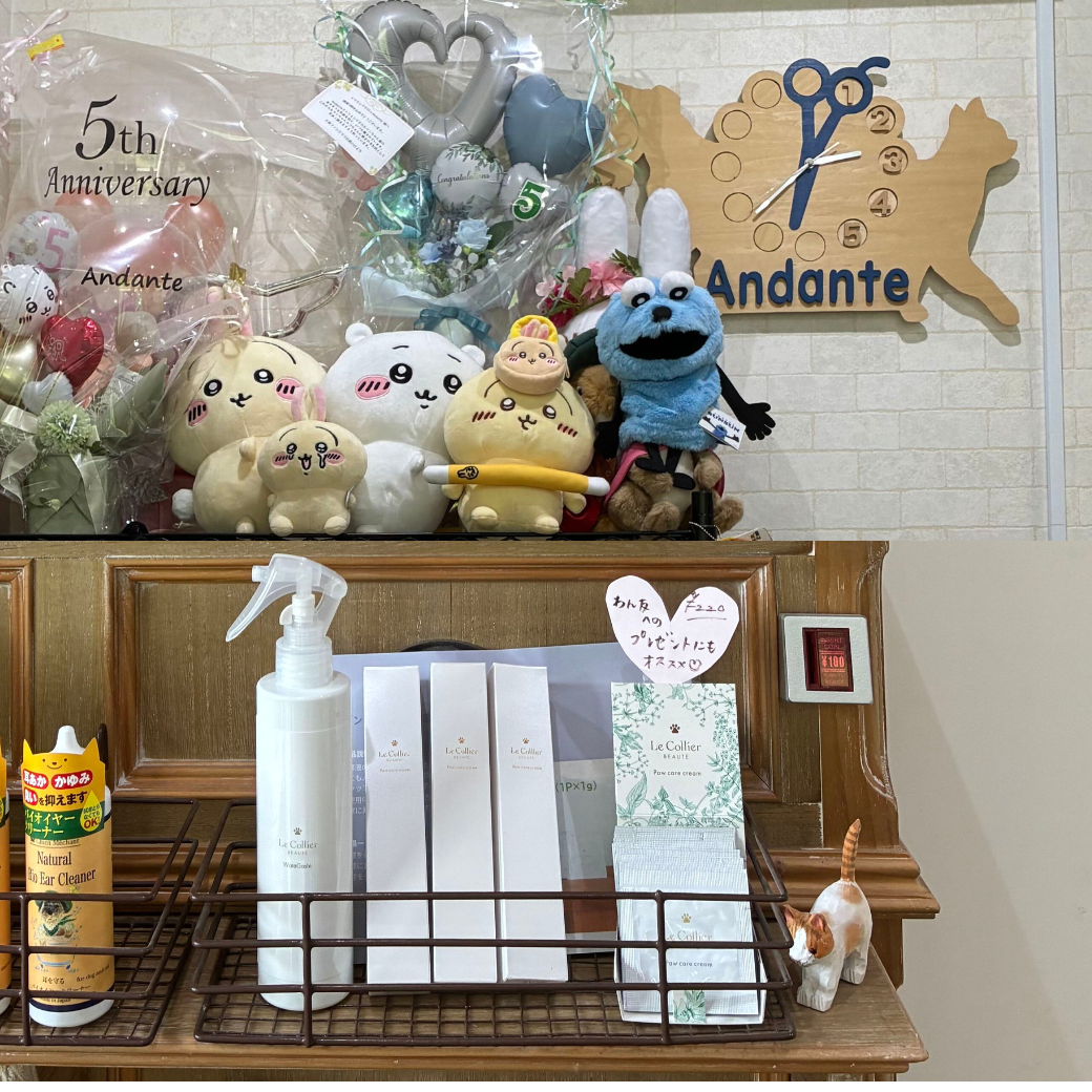 神奈川県横浜市 Andante お取り扱い店舗のご紹介