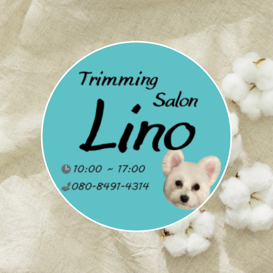 千葉県 trimming salon Lino お取り扱い店舗のお知らせ