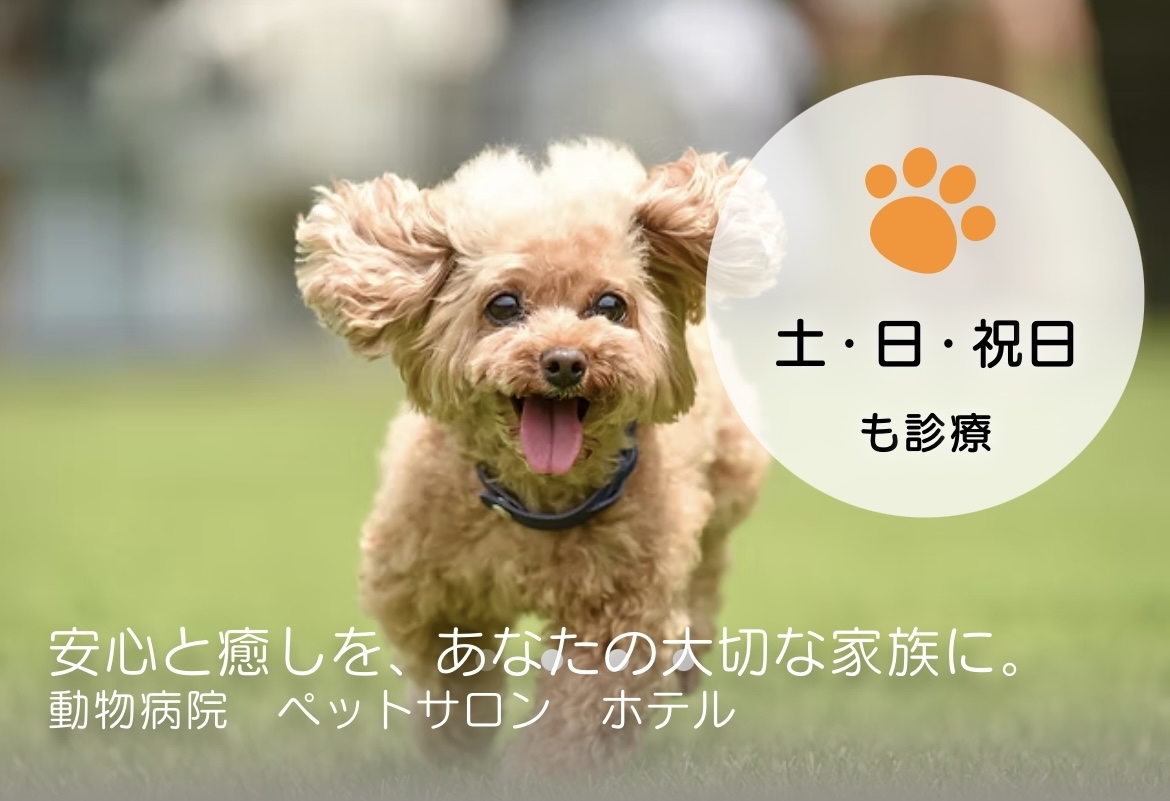 けやき台動物病院様(守谷市)お取り扱い店舗のお知らせ