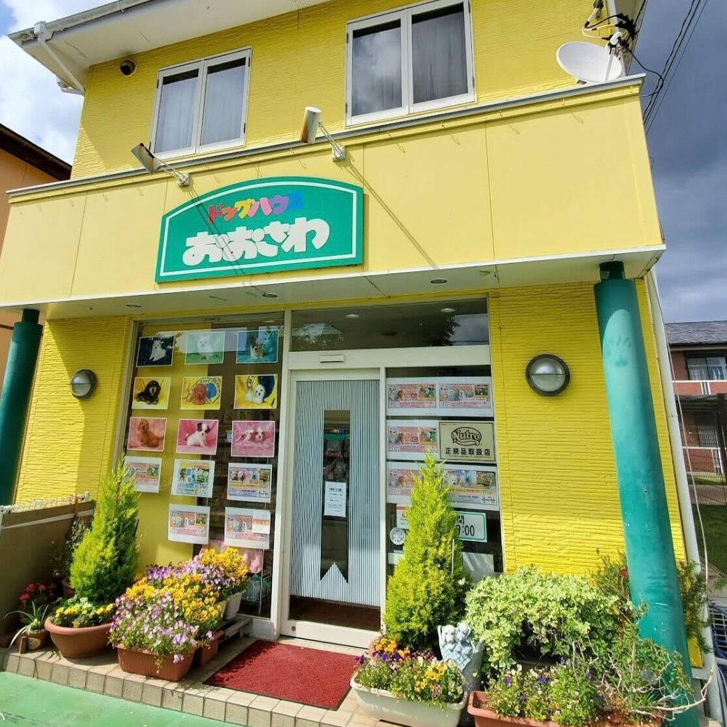千葉県 ドッグハウスおおさわ お取り扱い店舗のお知らせ