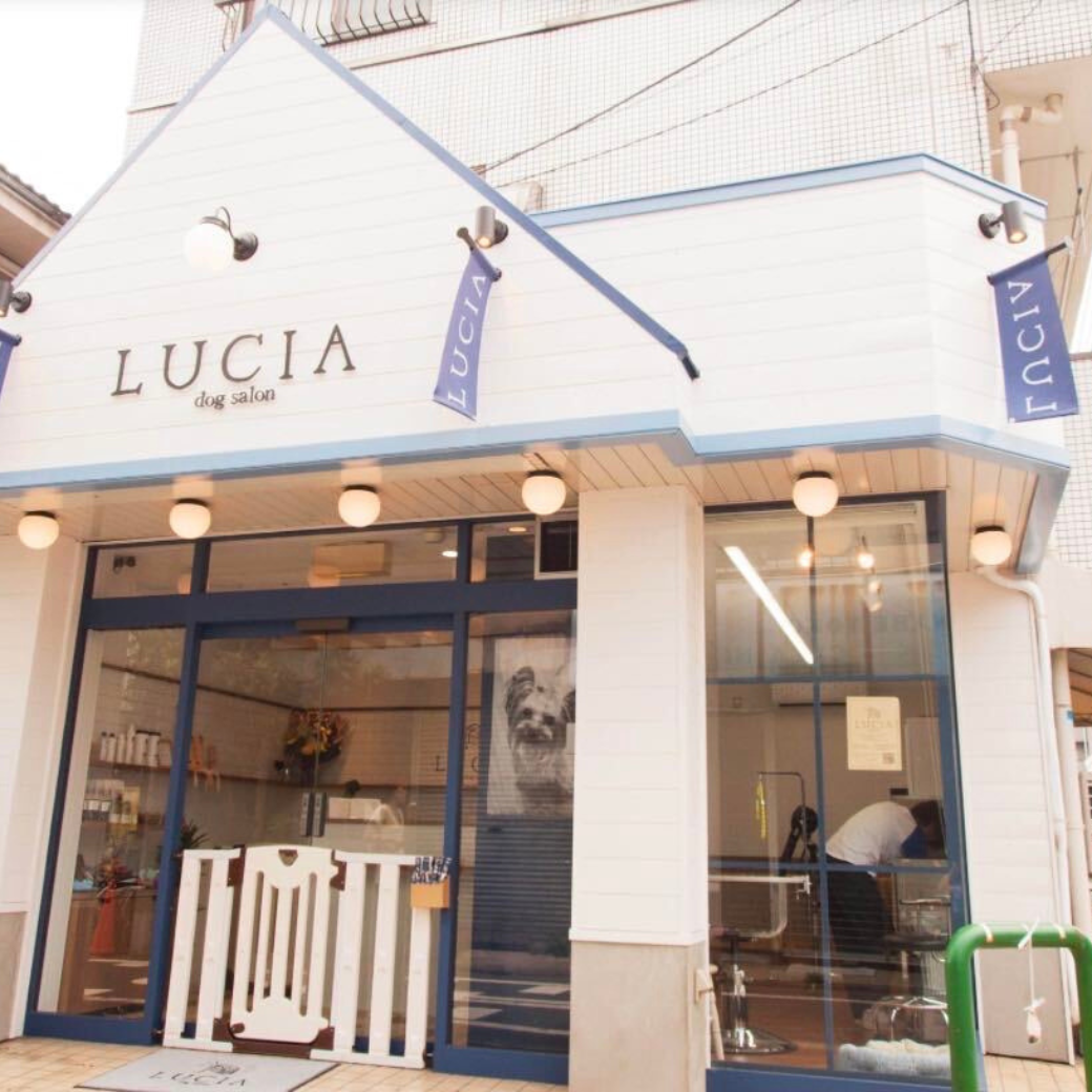 東京都練馬区 dog salon LUCIA お取り扱い店舗のご紹介