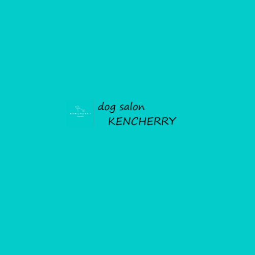 dog salon KENCHERRY取扱開始のお知らせ