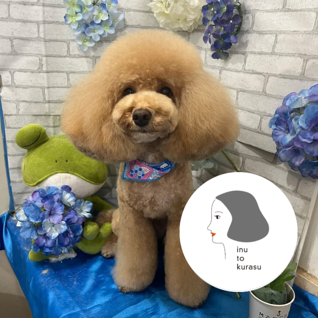神奈川県藤沢市 イヌと暮らす 新規お取り扱い店舗のお知らせ