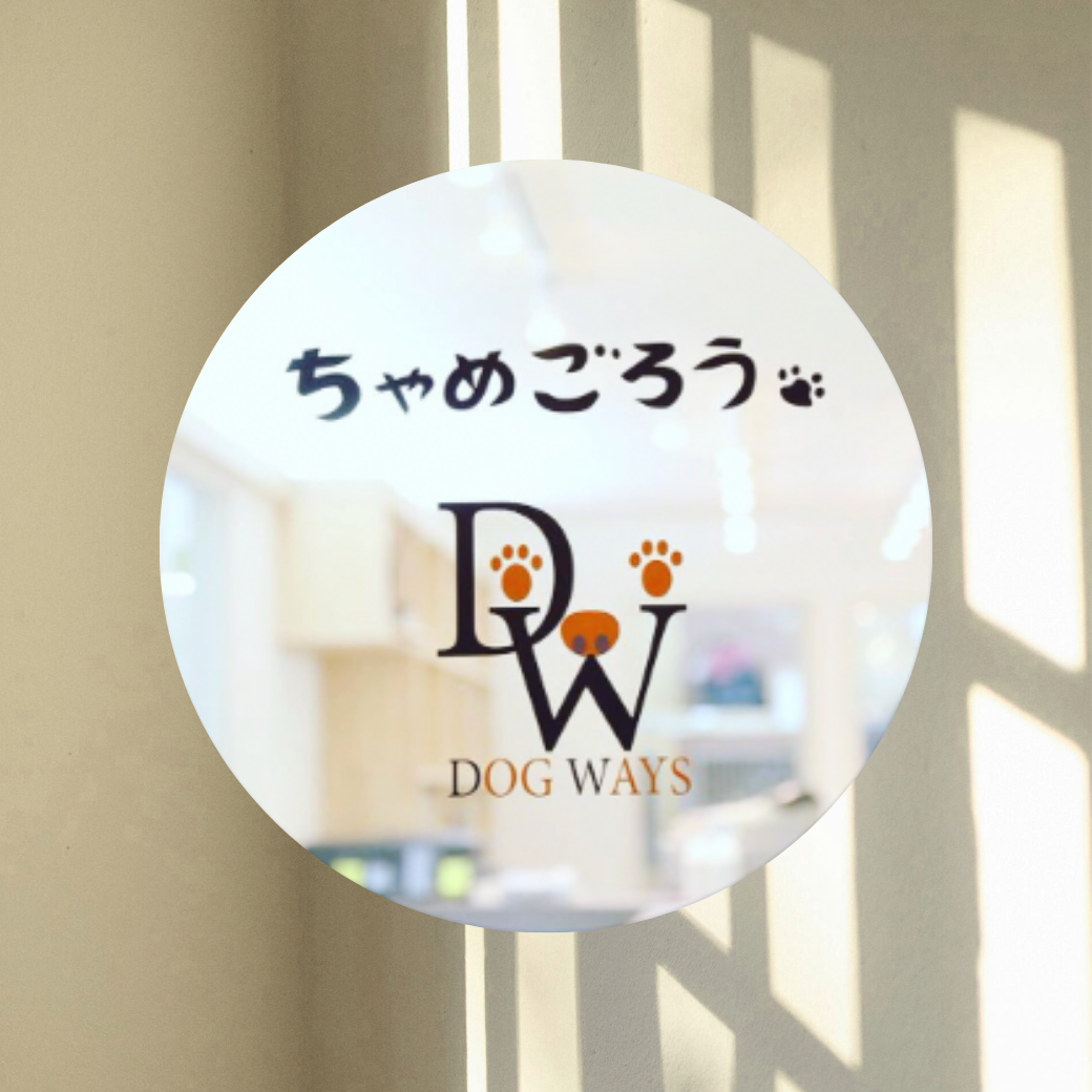 神奈川県 ちゃめごろう DOGWAYS お取り扱い店舗のお知らせ