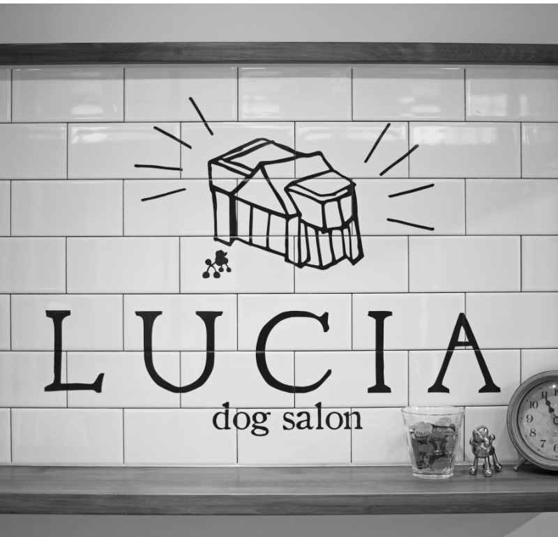 東京都練馬区dog salon LUCIA（ドッグサロン ルチア） お取り扱い店舗のお知らせ