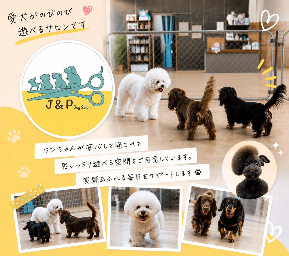 千葉県千葉県大網白里市 J&P Dog Salon 新規お取り扱い店舗のお知らせ