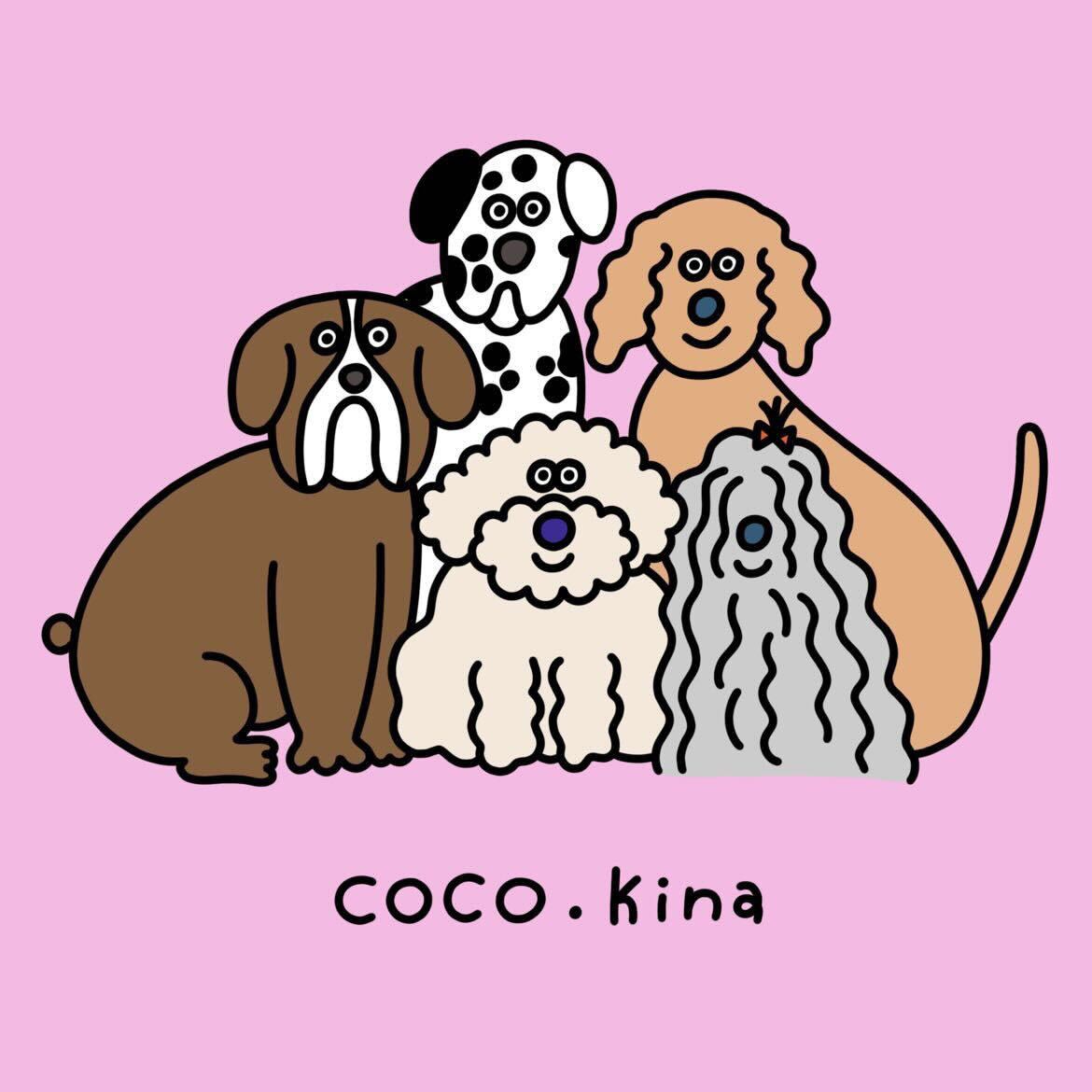 coco.kina取扱開始のお知らせ