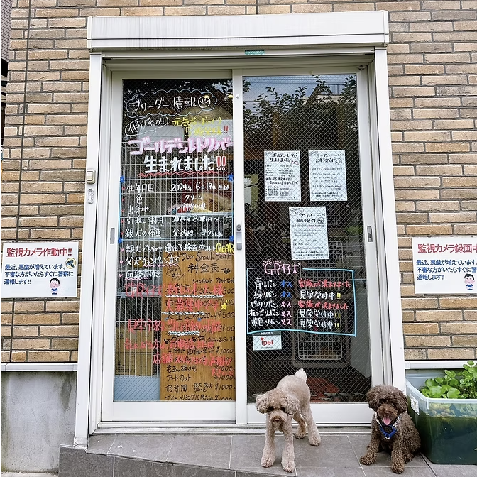神奈川県 スモール・ベア お取り扱い店舗のお知らせ