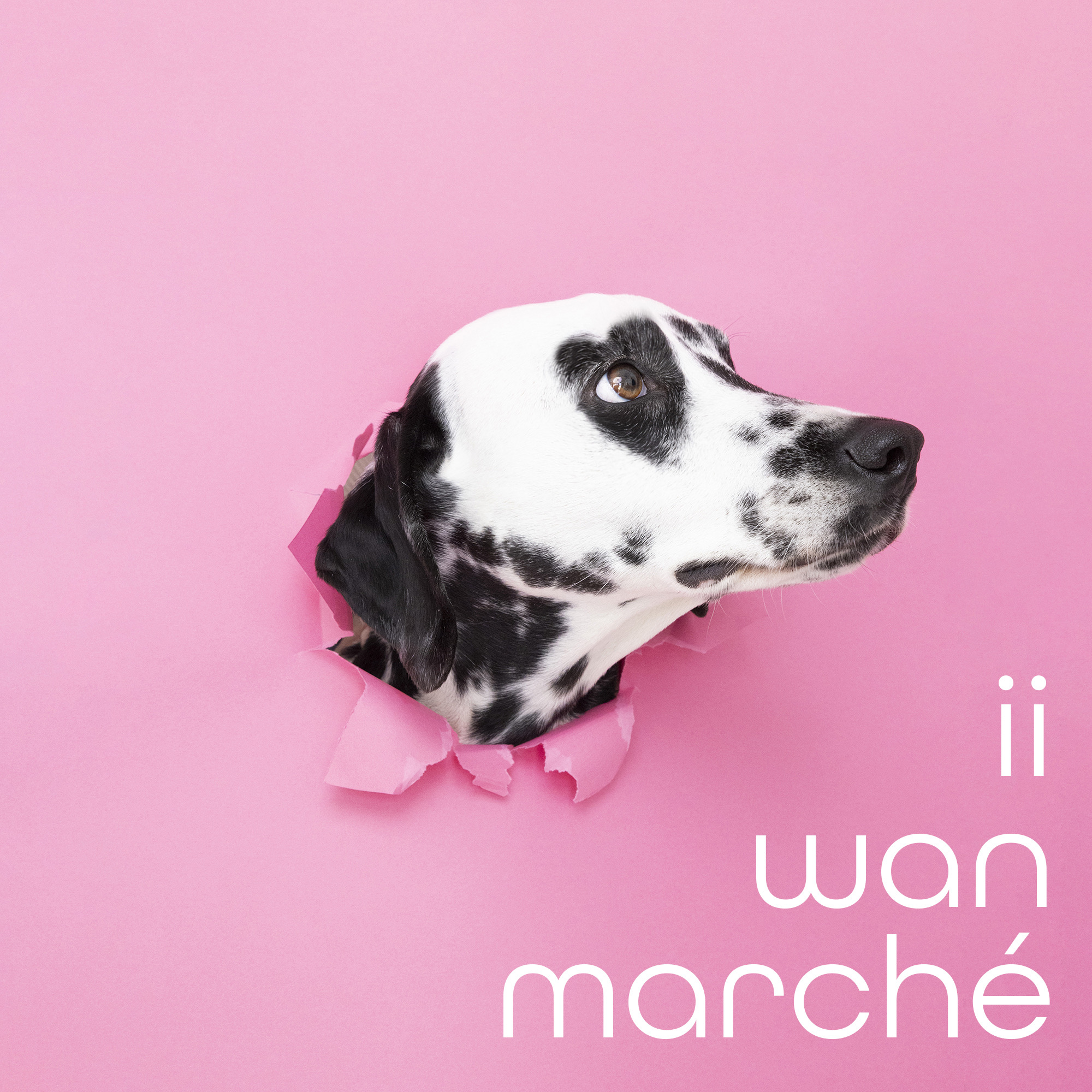 イイ wan マルシェ 出店終了のご報告