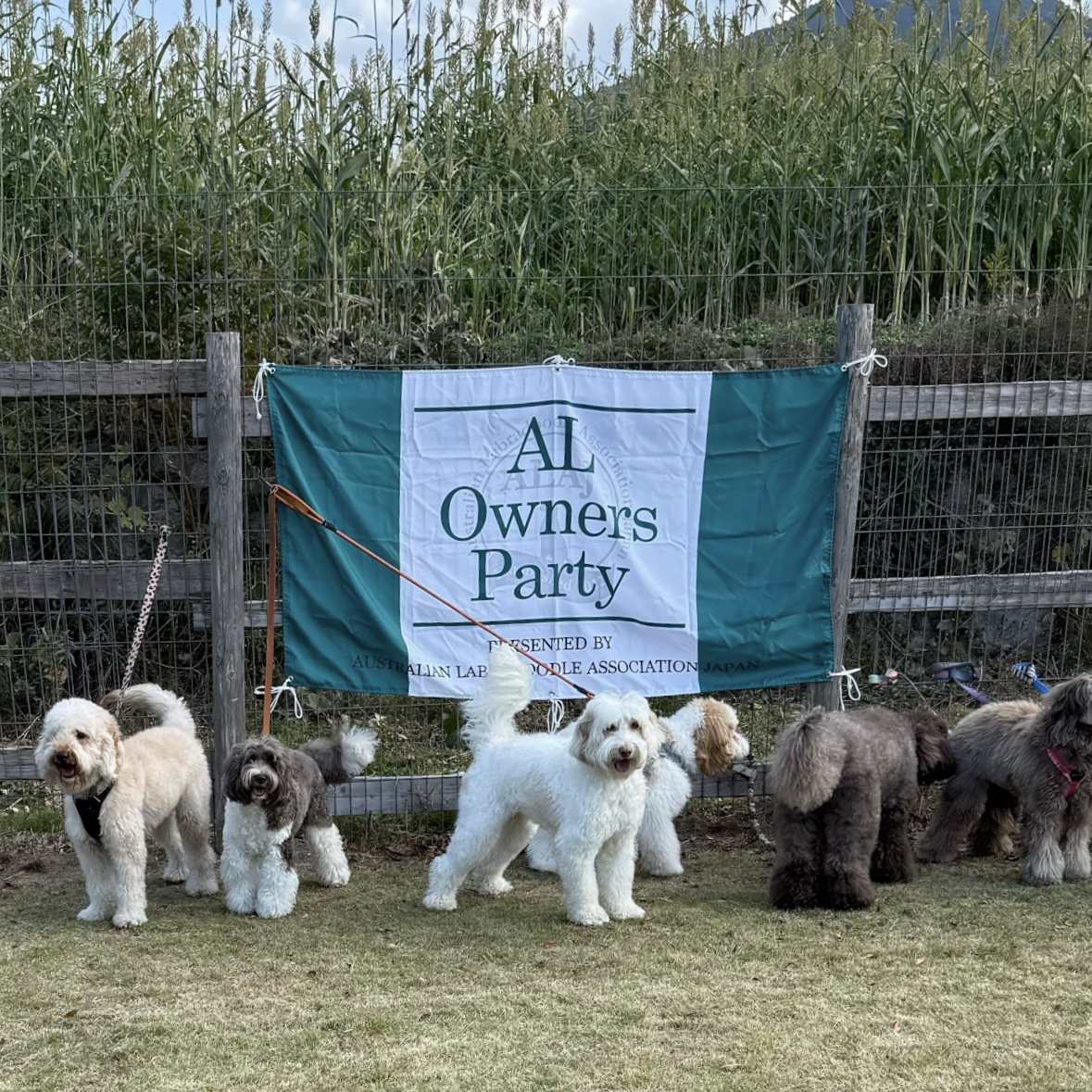 レイクウッズガーデン様主催 AL Owner's partyに協賛社として参加いたしました。