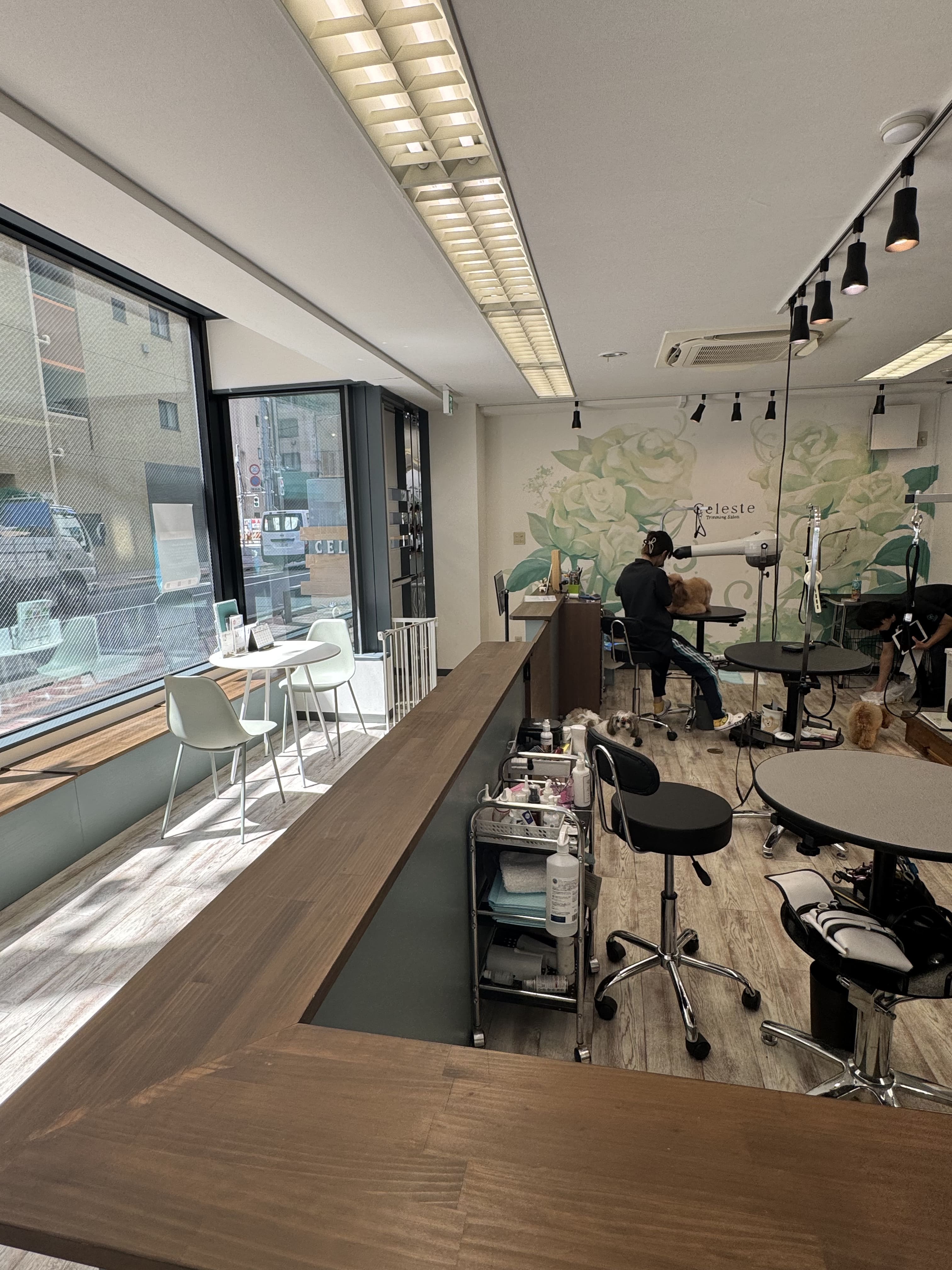 TRIMMINGSALON Celeste（チェレステ）お取り扱いのお知らせ