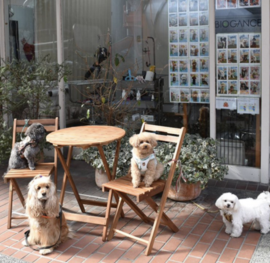 神奈川県 POP IN(ポップイン)お取り扱い店舗のお知らせ
