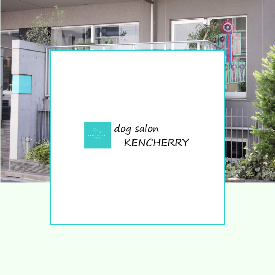 東京都港区青山 dog salon KENCHERRY取扱開始のお知らせ