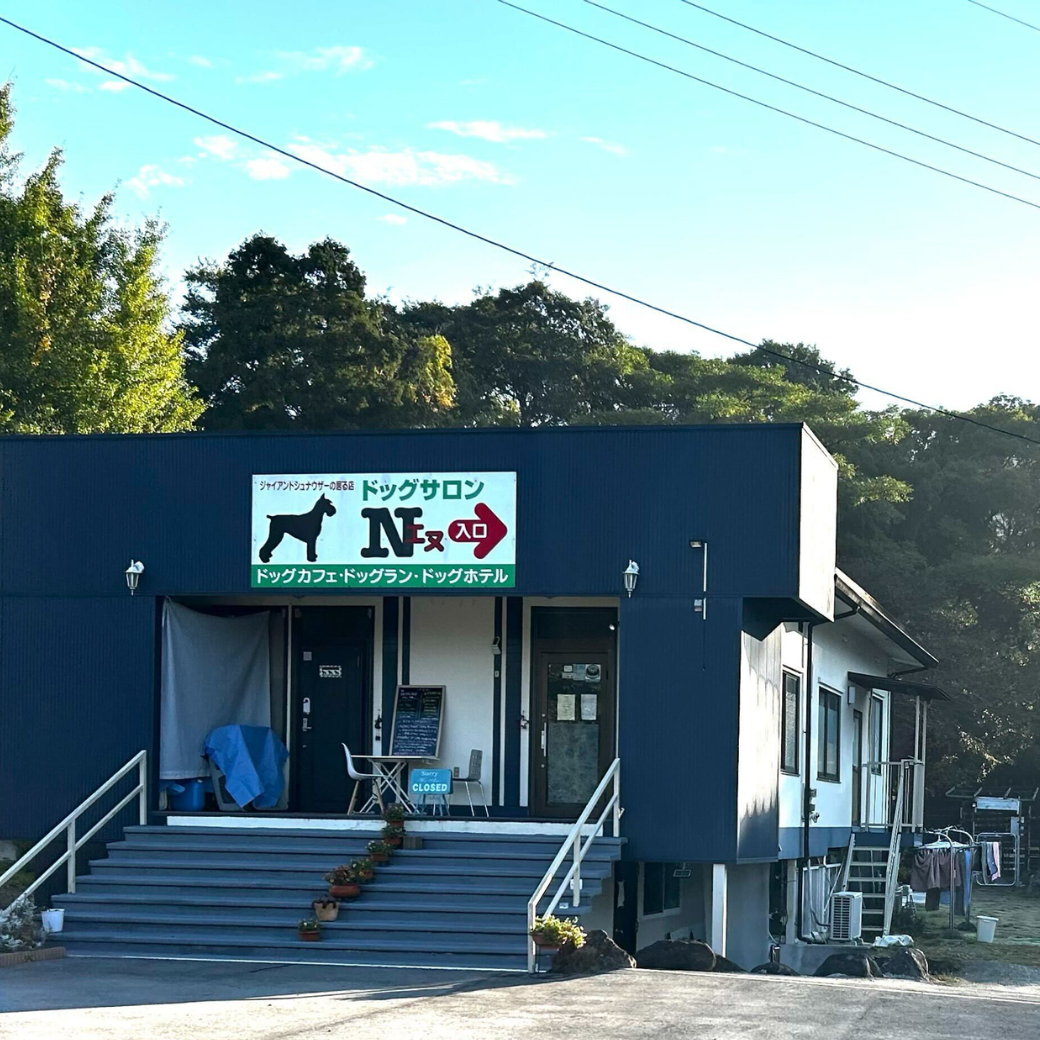Dog Care Salon Nお取り扱い店舗のお知らせ