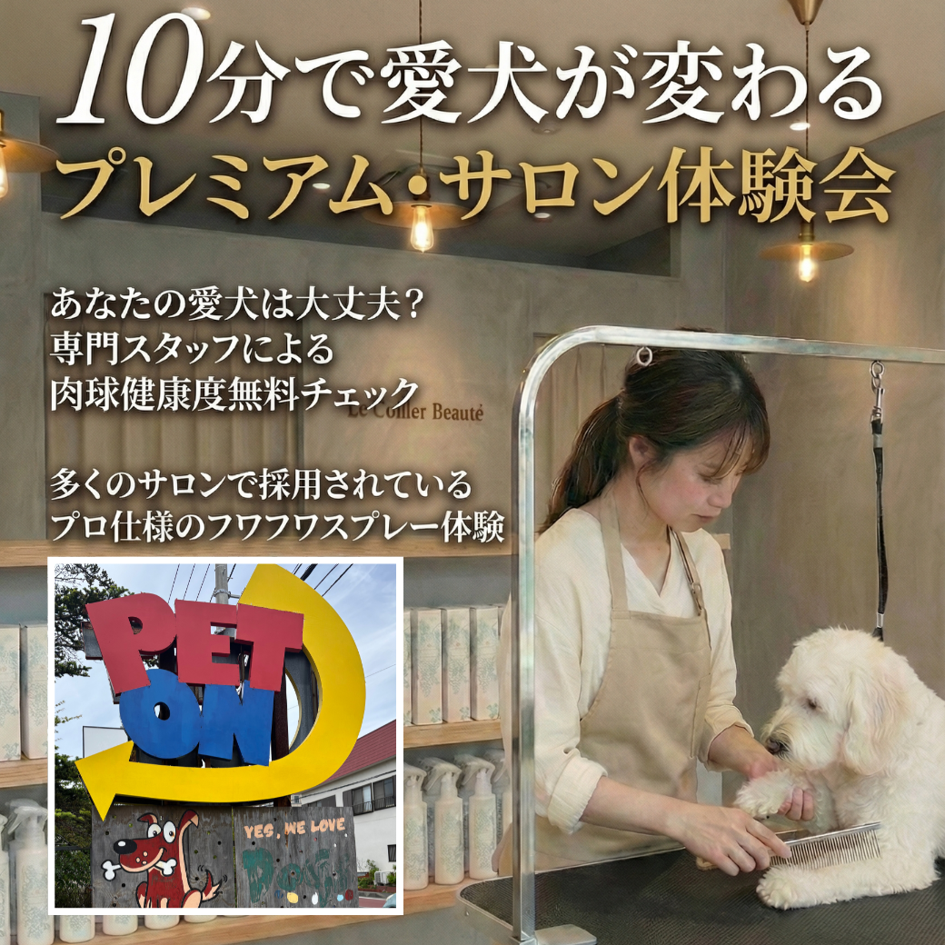 2/11(水) 祝日 神奈川県 ペトン鎌倉ワンワンDAY -POPUP-プレミアム・サロン体験会