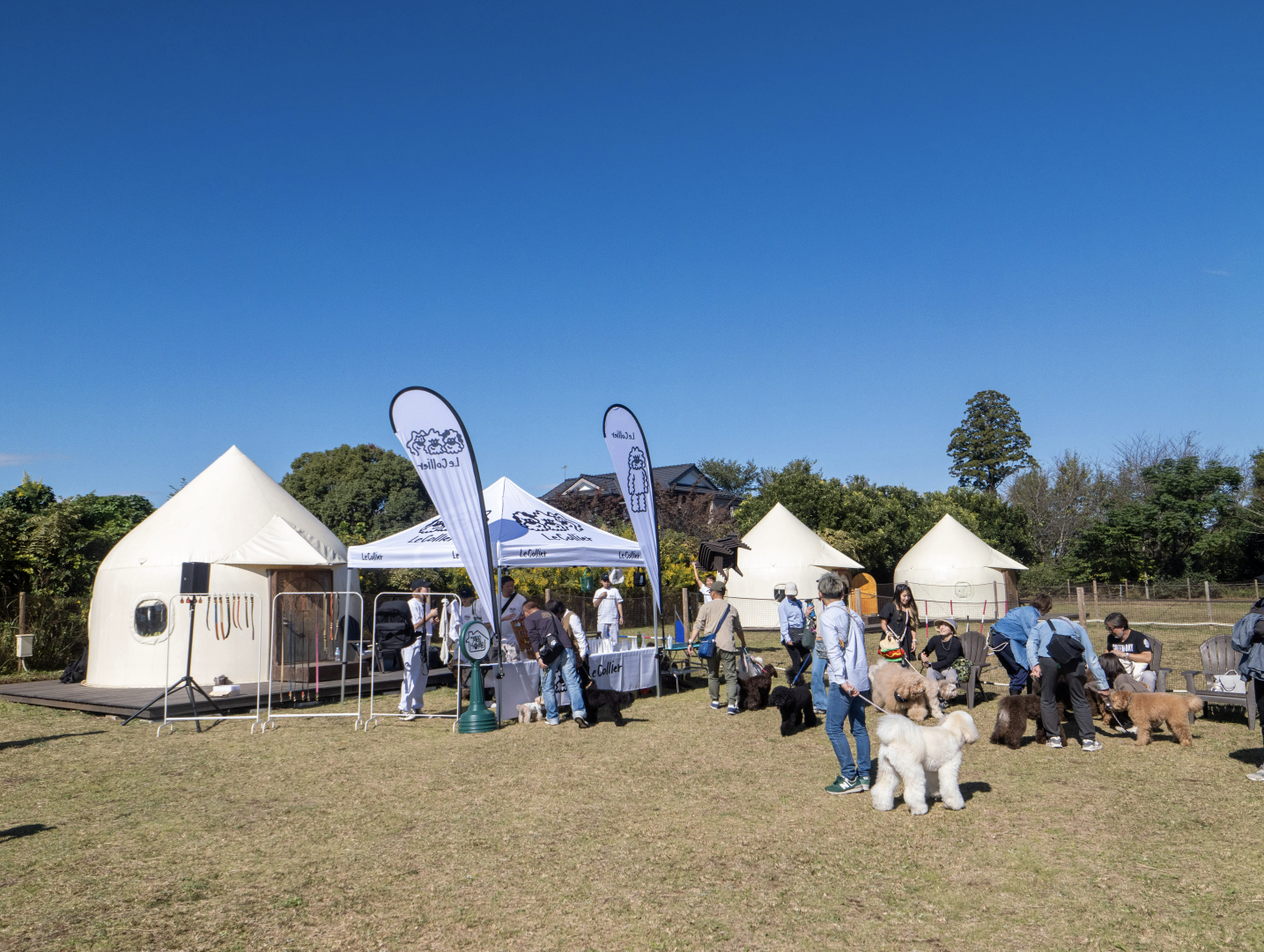 「PPP プレミアムパピーパーティー」開催のお知らせ