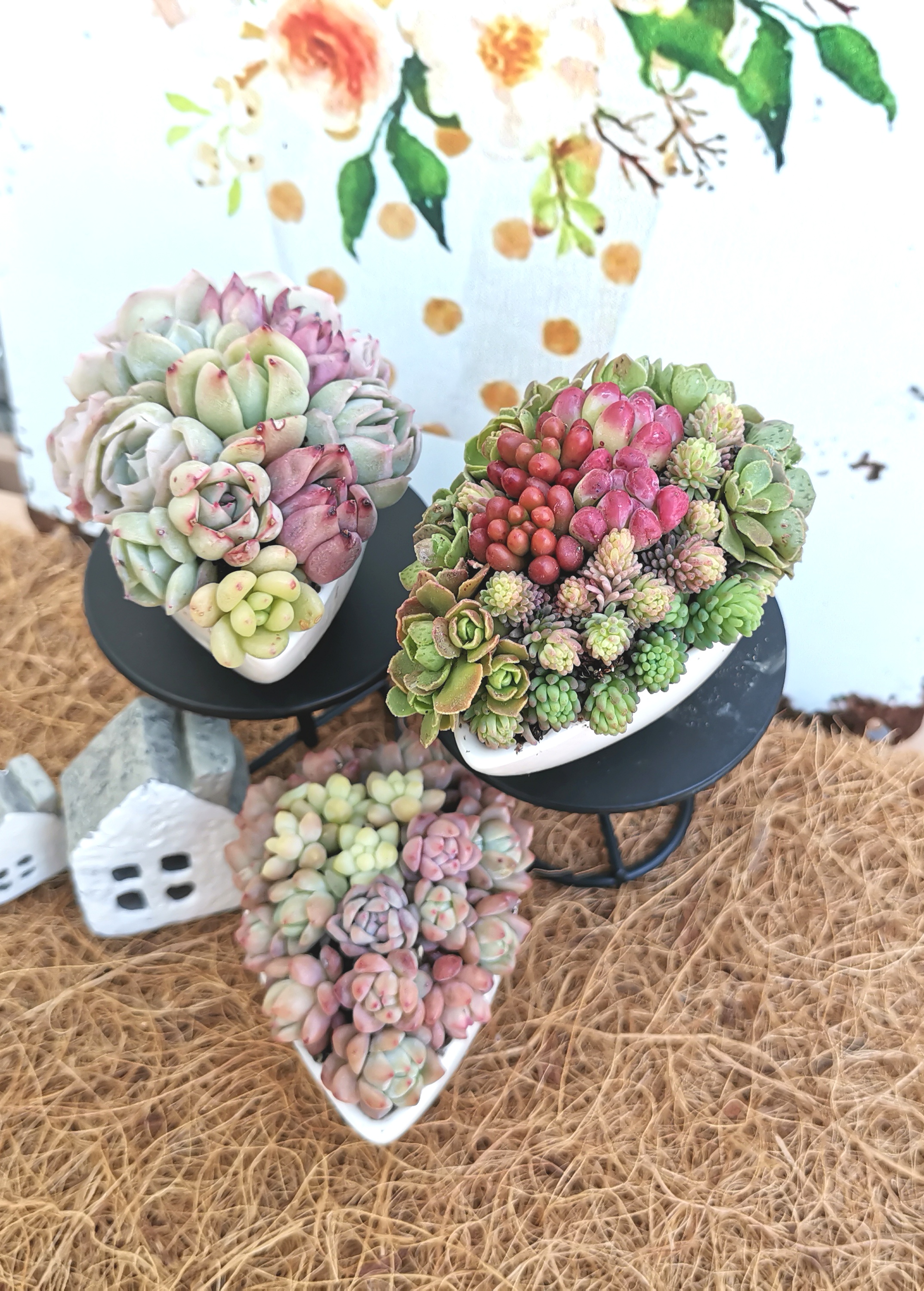 そのまま飾れる しずく型寄せ植え プチサイズ