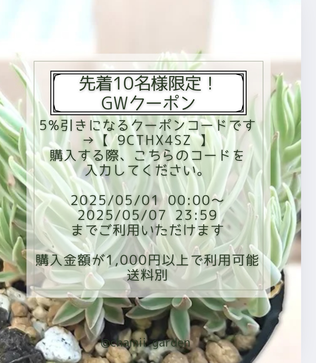 先着10名様！ GW限定クーポン配布中です！