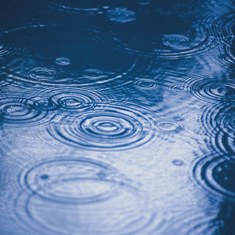 気分が上がらない日に、いつもより少し好きになれるもの